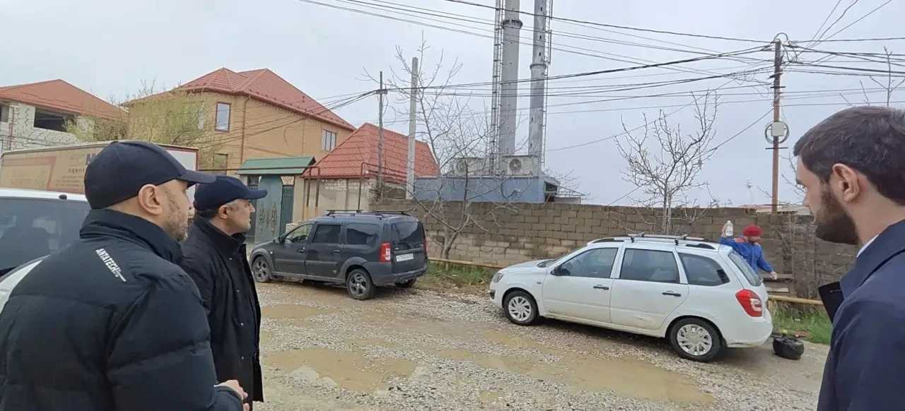 Пальмира, Турали и Новый Кяхулай снова онлайн